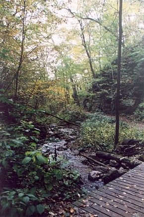 0020.jpg
