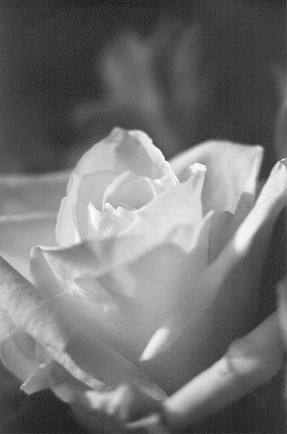 0026bw.jpg
