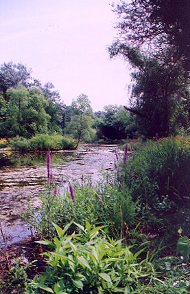 629199-9.jpg