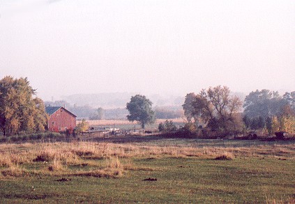 9884-24.jpg