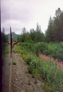 alaskantrain.jpg