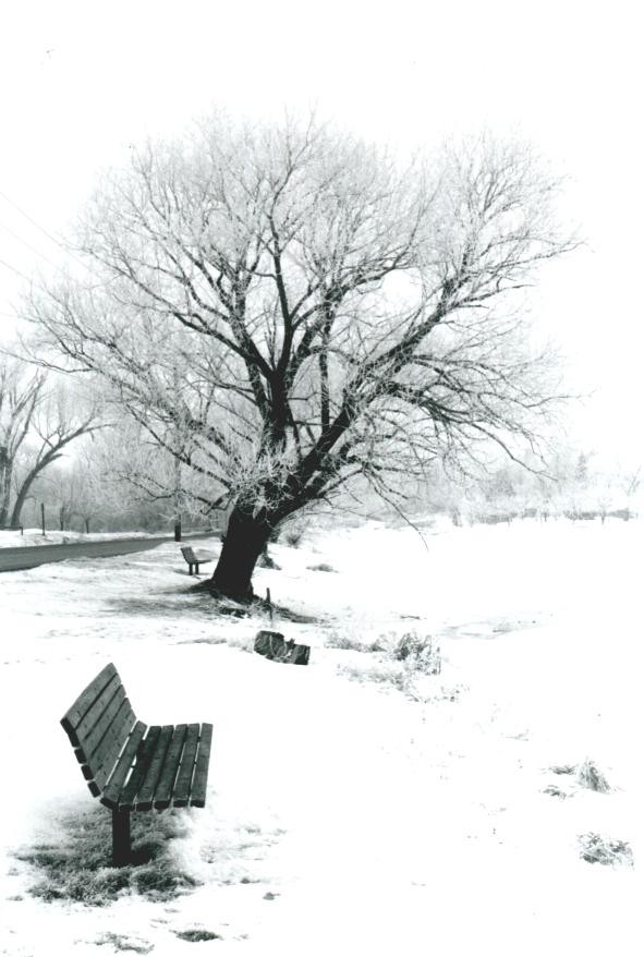 bench.jpg