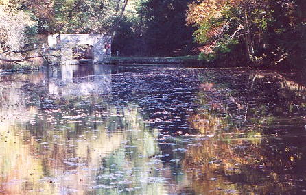paradisesprings.jpg