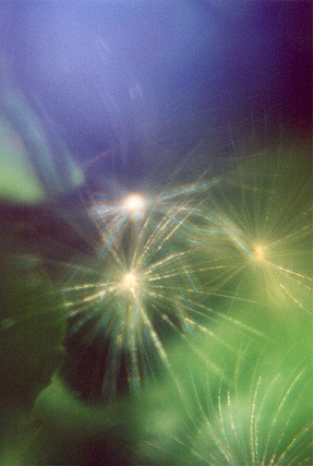 sparkles.jpg