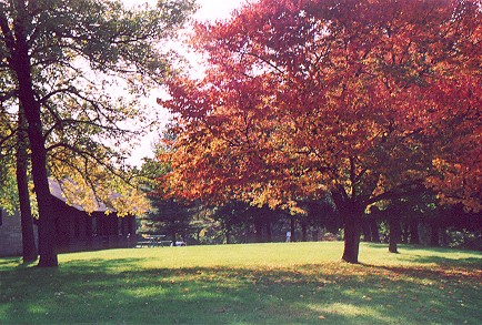 springspark.jpg