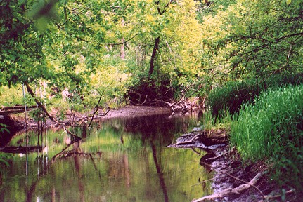 stream.jpg