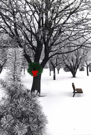 wintercard.jpg