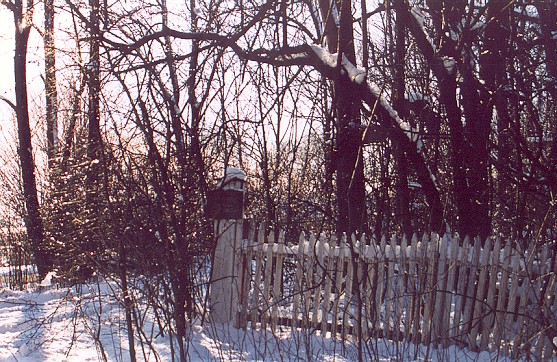 winterfence.jpg